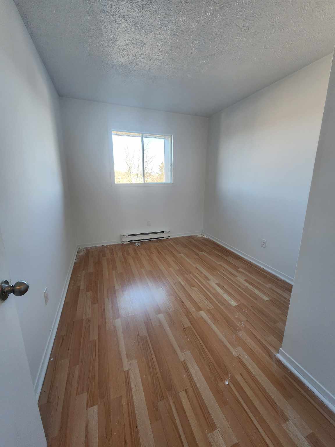 403406421_938876920989151_6319108611843544405_n