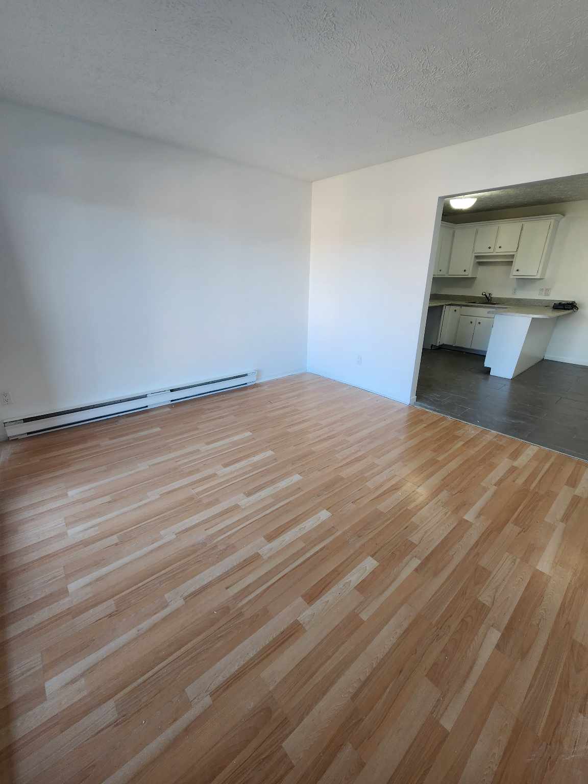 407128962_281938704461934_3488403437262639623_n