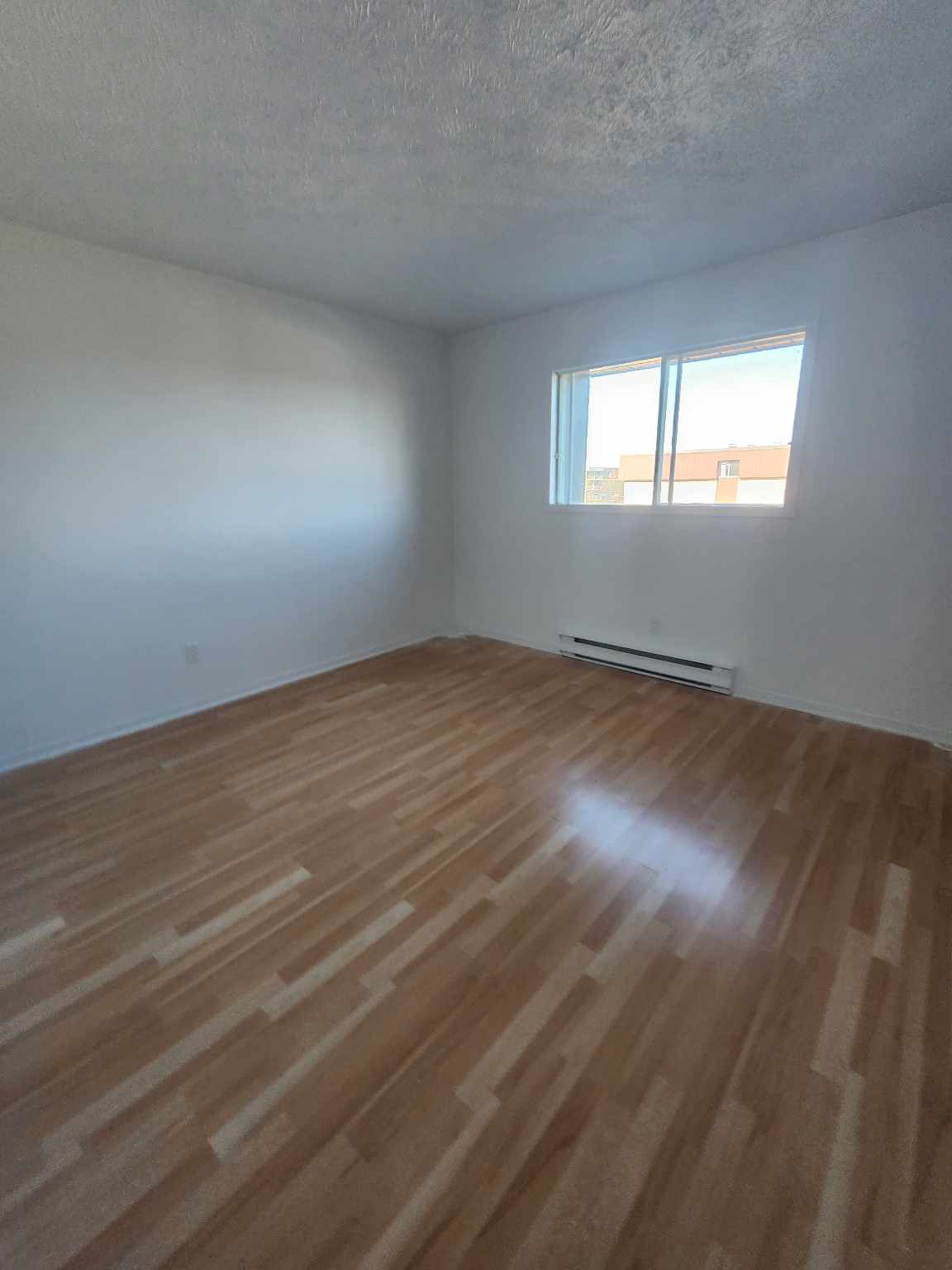 410006894_369683942305912_8044716825591573265_n